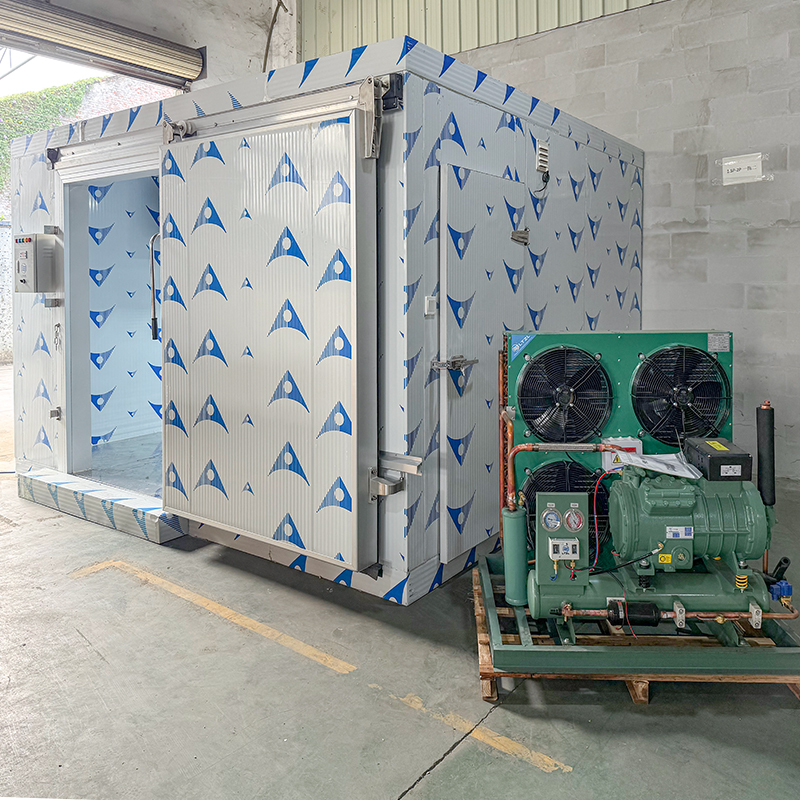 Customized Cold Room Freezing System Mobile