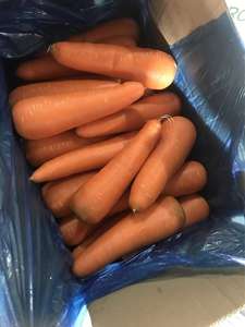 Novas Cenouras Frescas de Cultivo Chinês para Atacado, Alta Qualidade, Tamanho S/M, Fornecimento de Fazenda de Cenouras - Product Image 3