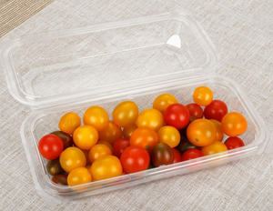 Wholesale Disposable PET Plastic <strong>Rectangular</strong> Lunch Box Microwave Safe Take-Away Food Tray Sandwich Cake Pizza Blister Packaging - Product Image 4