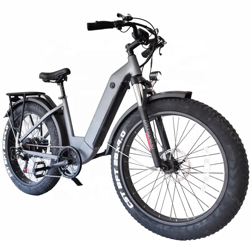 Neuankömmling Qualität Scheiben bremsen Fett E-Bike 26 ''35 KM/H Hard Tail LCD MTB Fett reifen Elektro Mountainbike