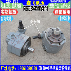 ปั๊มน้ำมันเกียร์ไซโคล idal BB-B80Y/BB-B100Y/BB-B125Y พร้อมวาล์วควบคุมความดัน Y2 Y1 - Product Image 3