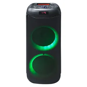 Doppia da 8 pollici portatile senza fili grande luce Led suono basso DJ Karaoke Party box altoparlante con buoni suoni