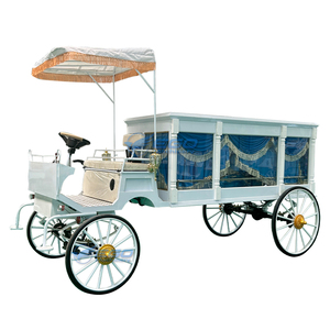 Cercueil funéraire électrique/cercueil traîné par des chevaux, personnalisé, à prix abordable, avec couvercle en verre blanc - Product Image 4
