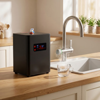 Mini chauffe-eau sous évier pour cuisine domestique, avec robinet d'eau chaude et distributeur d'eau