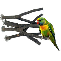 Perchoir en bois naturel pour oiseaux, support en forme de fourche d'arbre, jouet pour perroquet, peut accueillir des branches, accessoires pour cage à oiseaux