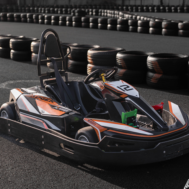 Battery-Powered Gokart 2kW Electric Go Karts for Adults High Performance Indoor Amusement Go Karts Karting Regutir