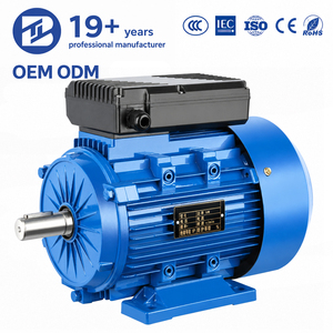 Moteur AC monophasé personnalisé BIODÉT 1,1 kW 1,5 CV Série ML 2980 tr/min 2 pôles 220 V 50/60 Hz pour machine de réfrigération et ventilateur médical - Product Image 1