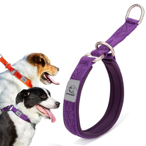 <span class=keywords><strong>Collar</strong></span> para perros sin tirones con diseño de cadena P Revestimiento reflectante 3M para viajes seguros | Se adapta a perros pequeños y grandes - Product Image 1
