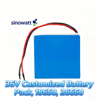 Batterie LiFePO4 longue durée de vie 12,8 V 24 V, pack de batteries au lithium pour système de stockage solaire marin, RV, AGV, pack de batteries personnalisé