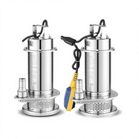 Pompe submersible en acier inoxydable personnalisable, pompe à découpe des eaux usées, 0,25 kW, pompes centrifuges chimiques en métal, personnalisables