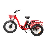 Bicicleta triciclo de carga elétrica versão única 3 rodas para adultos