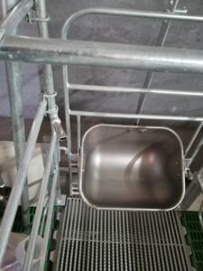 1800 Standard Sow <b>Bed</b> Hot Galvanized Stall - Product Image 3