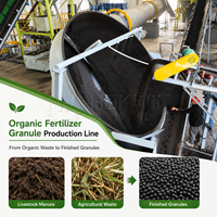 Usine de traitement d'engrais biologiques, ligne de fabrication de compost organique, équipement de granulation à disques pour l'éco-recyclage