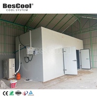 Cámara Frigorífica Comercial Personalizable de 4.7*3*2.7m con Sistema de Refrigeración Copeland, Control de Temperatura de -10~-20 Grados, Motor de 100mm