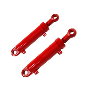 Cilindro Hidráulico Soldado Hsg40, Diámetro de 40 mm, Varilla de 25 mm, Montaje en Trunnion, Doble Acción, Capacidad de 2 Toneladas - Product Image 2