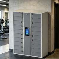 Casilleros Inteligentes con Controles de Software y Pantallas Táctiles Integradas que Pueden Cargar tu Teléfono. Personalizable para Gimnasio y Almacenamiento de Paquetes