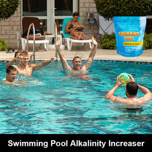 Augmenteur d'alcalinité pour piscine, bicarbonate de sodium, poudre de <span class=keywords><strong>pH</strong></span>, régulateur de <span class=keywords><strong>pH</strong></span>, produits chimiques pour piscine - Product Image 3