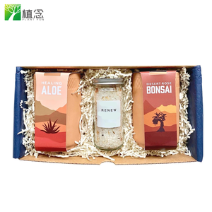 Kit de jardin d'intérieur de luxe de style campagnard, pots carrés en terre cuite pour cactus et <span class=keywords><strong>bonsaï</strong></span>, supports suspendus, décoration pour la maison, salle de plantation - Product Image 3