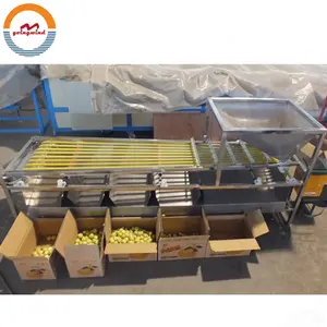 Automatic areca nut size sorting grading machine auto industrial betel nut sizing areca-nut sorter grader cheap price for sale