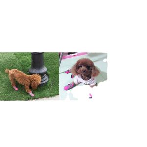 <span class=keywords><strong>4</strong></span> Piezas de Zapatos para Perros Pequeños, Botas para Cachorros, Reflectantes, Antideslizantes, Calcetines para Mascotas, Zapatillas Deportivas, Protector de Patas para Chihuahua Yorkshire - Product Image 4