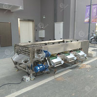 Automatische Fruitgroenteverwerkingsmachine Voor Sorteermachines Voor Het Sorteren Van Kersenformaat Sorteermachine