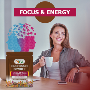 ผงเห็ดสมุนไพรธรรมชาติคุณภาพสูง พร้อมเนื้อเห็ดที่ช่วยเสริมภูมิคุ้มกัน บำรุงสมอง เพิ่มสมาธิ และพลังงาน - Product Image 6