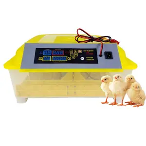 HHD DC 12V doble potencia 48 capacidad automática incubadora de huevos de codorniz máquina para incubar