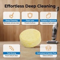 Tablettes effervescentes personnalisées OEM ODM pour le nettoyage des sols, décapant professionnel pour surfaces multiples
