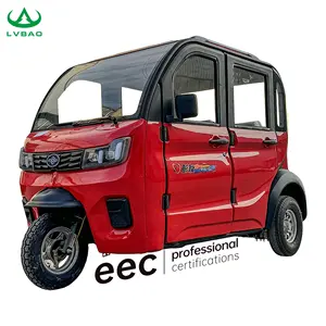 LB-ZRJS Wheel Motorcycle With Passenger Seat Taxi Tricycles Passenger Enclosed Cabin 3 Wheel Electric Scooter 60V Closed Eec