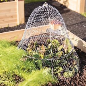 Cloches de jardin rustiques en fil métallique, anti-écureuil, en grillage pour poulets, pour protéger les plantes contre les animaux, couverture métallique, cage de protection - Product Image 2