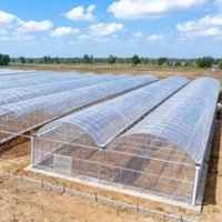 Serre tunnel multi-travées en film plastique, système hydroponique prêt à l'emploi, pour la culture agricole de tomates, laitues et concombres