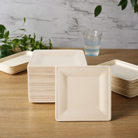 AT PACK Lot de 100 assiettes en papier de canne à sucre biodégradables jetables de 10 pouces, compostables, écologiques et robustes