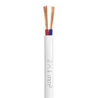 Flexibles Zweikern-Flachkabel mit PVC-Isolierung Elektrisches Zwillings- und Erdungskabel H05VVH2-F
