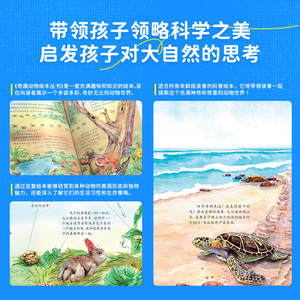 Illustration originale dessinée à la main en couleur, encyclopédie des animaux Little Newton, vulgarisation scientifique, <span class=keywords><strong>livre</strong></span> d'images pour enfants 3-6 - Product Image 3