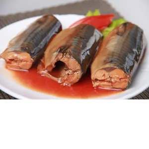 OEM 155g Factory Direct Canned Mackerel In Chili With Factory Prices