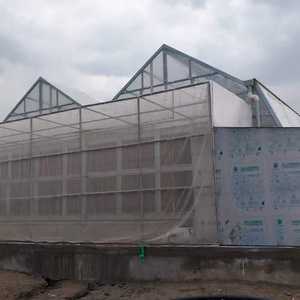 Moderne 10mm 12mm 16mm <span class=keywords><strong>Polycarbonate</strong></span> Transparent En Plastique Dôme Lucarne Plaques Creuses Soleil Feuilles PC En Relief <span class=keywords><strong>pour</strong></span> Serres - Product Image 5