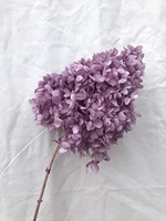 Bunga Hydrangea Kering Alami Asli Grosir, Hydrangea Tower, Hydrangea Cone Awet untuk Dekorasi Rumah, Acara, Hotel, dan Pernikahan