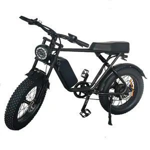Almacén DE LA UE Bicicleta eléctrica de neumáticos gruesos Bicicleta eléctrica plegable Motor de 1000W Bicicleta eléctrica de montaña de neumáticos gruesos de 20 pulgadas