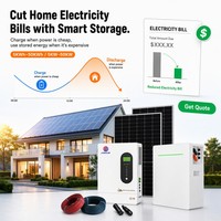 Batería de Litio Solar Lifepo4 de 48V 51.2V 200Ah 10Kwh 15Kwh 20Kwh 30Kwh para Panel Solar, Montada en Pared