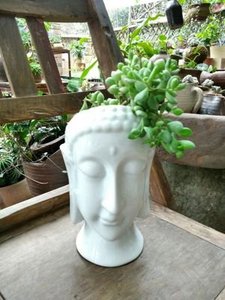 Tendenze urbano di Ceramica <span class=keywords><strong>Testa</strong></span> di Buddha <span class=keywords><strong>Vaso</strong></span> Per La Vendita - Product Image 3