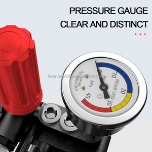 Lavadora de coche de alta presión compacta eléctrica <span class=keywords><strong>barata</strong></span> con motor de inducción de gran potencia/indicador/ajustador - Product Image 5