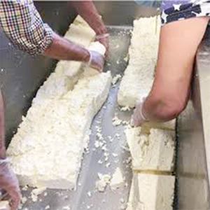 Línea de Producción de Queso Automática Completa de 300L-2000L |   Recipiente de Acero Inoxidable para Queso <span class=keywords><strong>Mozzarella</strong></span> y <span class=keywords><strong>Cheddar</strong></span> - Product Image 3