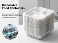 Boîte à lunch pliable jetable Fude en PP de qualité alimentaire, style américain, 9x6 pouces, épaisseur 2mm, pour burgers à emporter, personnalisable
