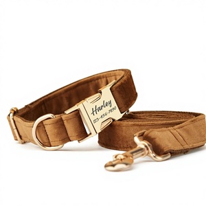 Collar de Perro Personalizado Color Café con Lazo y Correa, Grabado con Nombre de Mascota, Hebilla Metálica, Regalo de Cumpleaños para Cachorro, Envío Gratis - Product Image 1