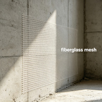 Rotoli di Rete in Fibra di Vetro per Rinforzo Pareti EIFS, Alta Resistenza 4*4mm 160G, Rete in Fibra di Vetro per Progetti Edili