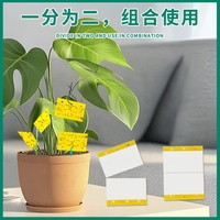 Cartes collantes jaunes papier de panneau de colle d'insecte fort attirent les pièges collants pour le piège collant d'insecte de mouche de fruit de lutte antiparasitaire
