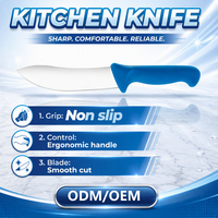 KITCHENCARE 2027 Ensemble de couteaux de boucher 3 pièces en acier inoxydable avec aiguiseur