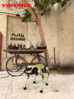 Intelligenter Vierbeiniger Bionischer Roboter, Smarter Elektronischer Roboterhund