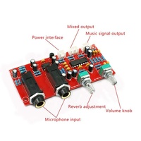 Digital Mikrofon Amplifier Papan PT2399 Karaoke Papan Reverb Preamplifier Reverberator NE5532 DC 12V-24V
