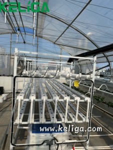 Système hydroponique de culture de fraises d'intérieur écologique pour l'agriculture Serre Système hydroponique d'irrigation à tuyau carré NFT - Product Image 6